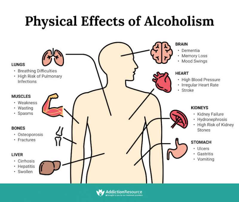 Alcohol Turns into Sugar? The Dirty Truth About Your Favorite Poison.